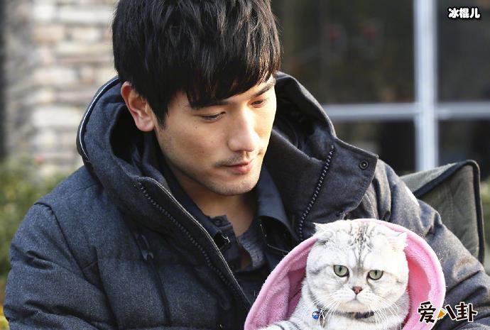 高以翔去世原因