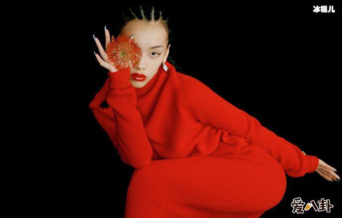 歌手刘柏辛资料