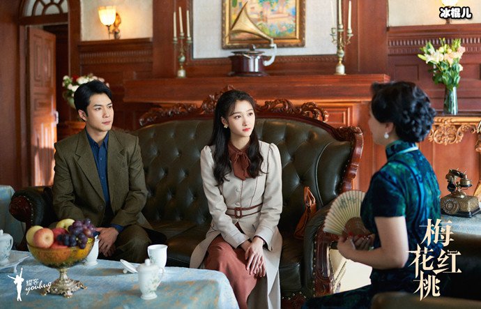 梅花红桃剧情简介