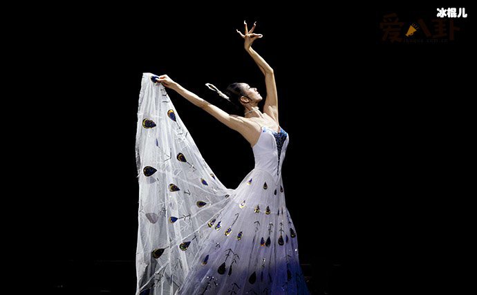 杨丽萍真的没有想过生孩子吗