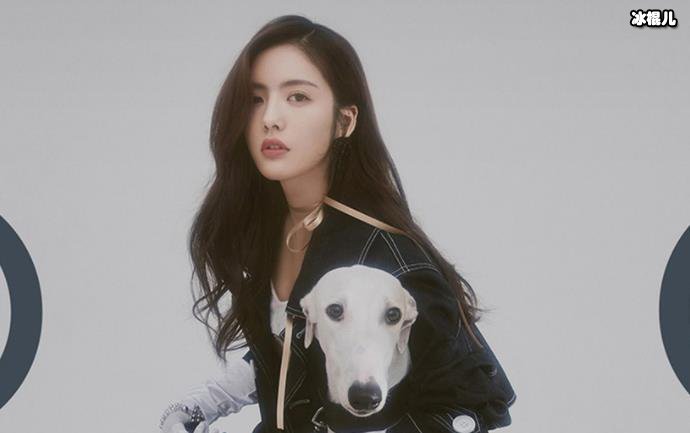 蔡文静整容对比，她真的有整容吗