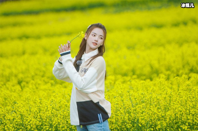 杨超越找房似锦买房是怎么回事