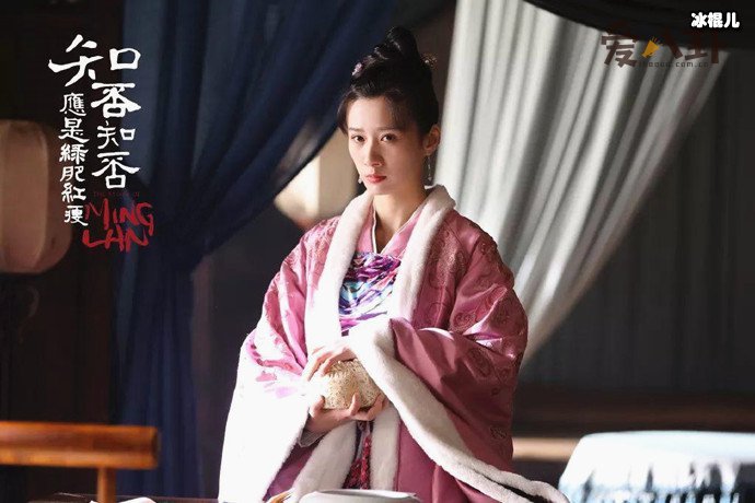 徐悦在知否中的角色是什么