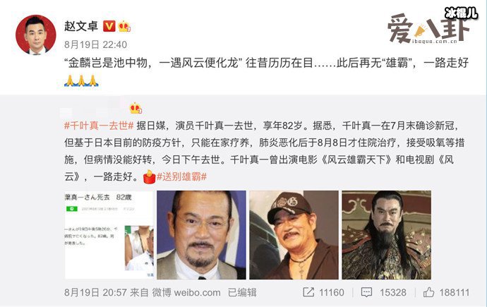 聂风赵文卓悼念千叶真一