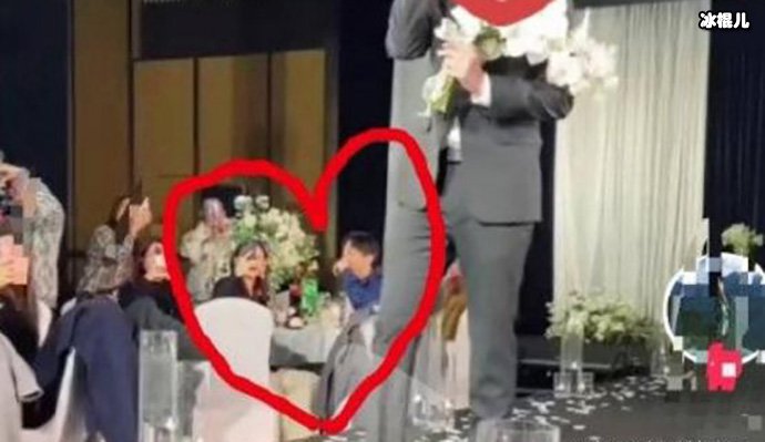 王鸥带何九华参加妹妹婚礼