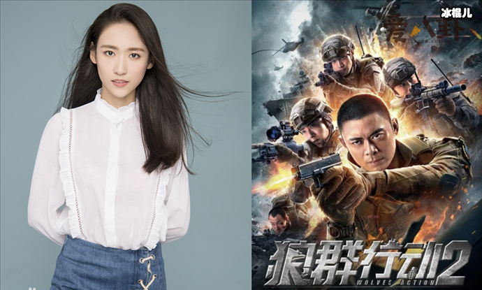 狼群行动2怎么样