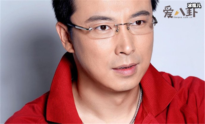 龚慈恩的丈夫林炜