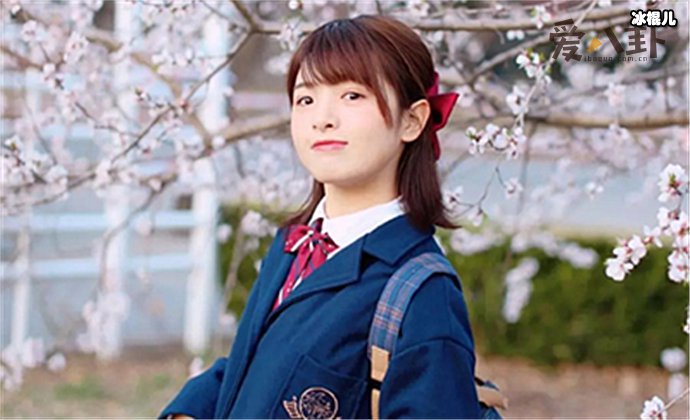 何夏昕个人资料