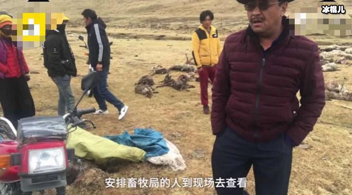 工作人员在核实情况