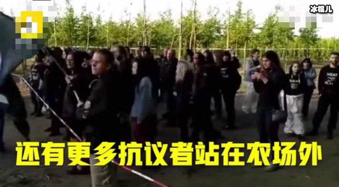 农场外的抗议者