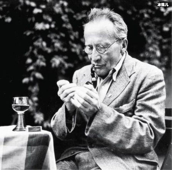 薛定谔定律什么梗