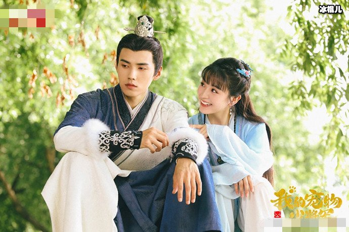 我的宠物少将军口碑