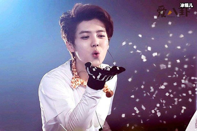 鹿晗被嘲过气现状凄惨