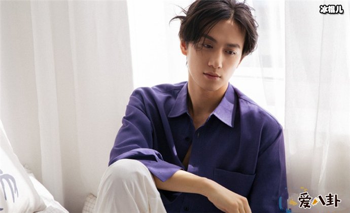 陈政阳个人资料