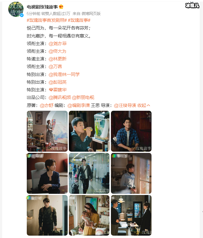 电视剧玫瑰故事官宣