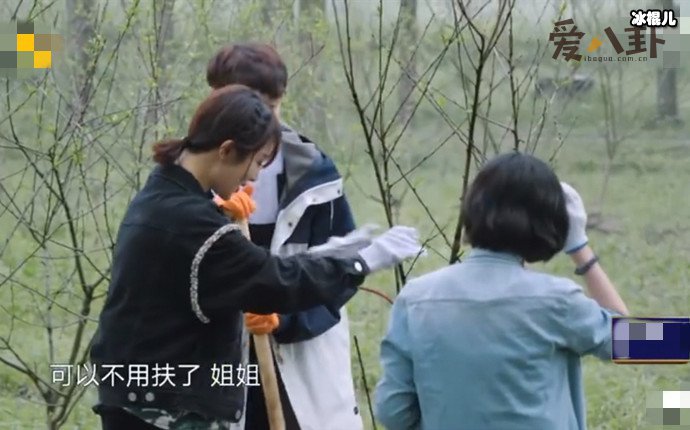 张艺兴叫杨紫姐姐