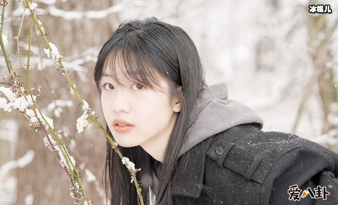 向涵之男友是谁