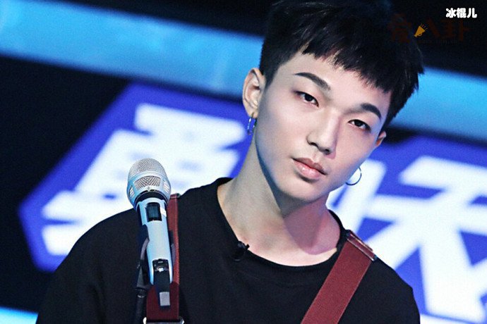 蔡维泽是怎么出道的