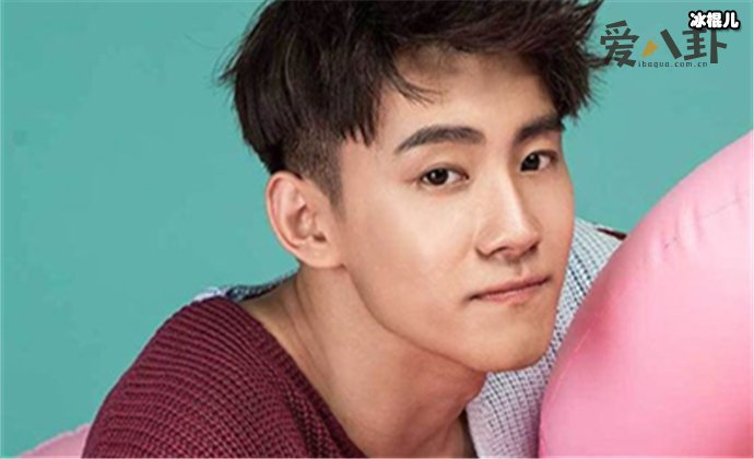 晏紫东个人资料