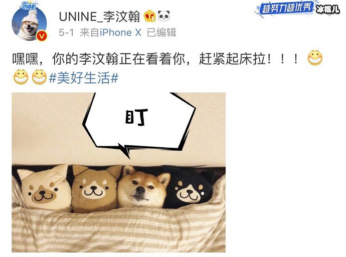 李汶翰关于狗狗的微博