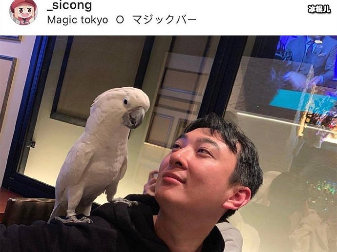 王思聪和自家鹦鹉