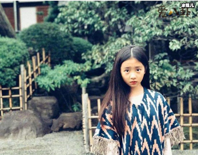 黄磊一家人又引网友群嘲