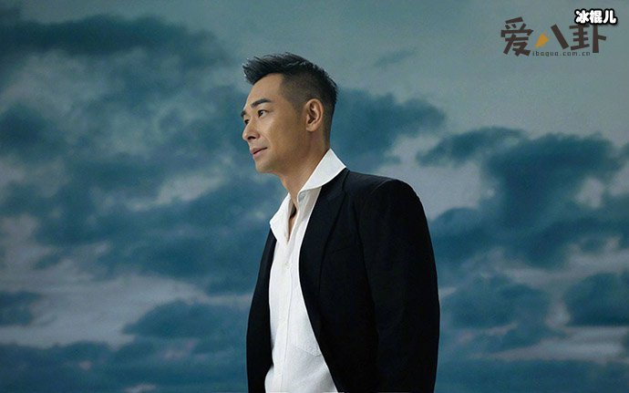 赵文卓甄子丹事件