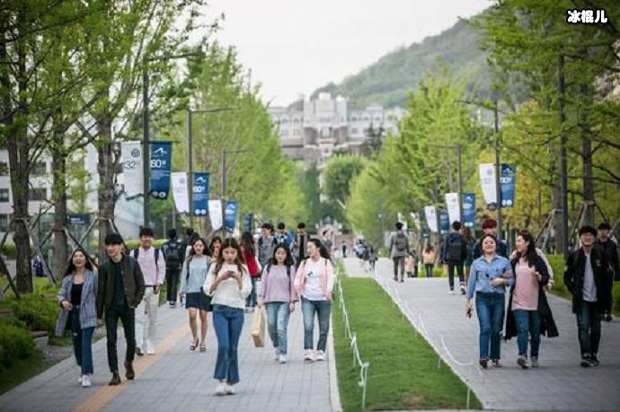 韩国年轻人大调查