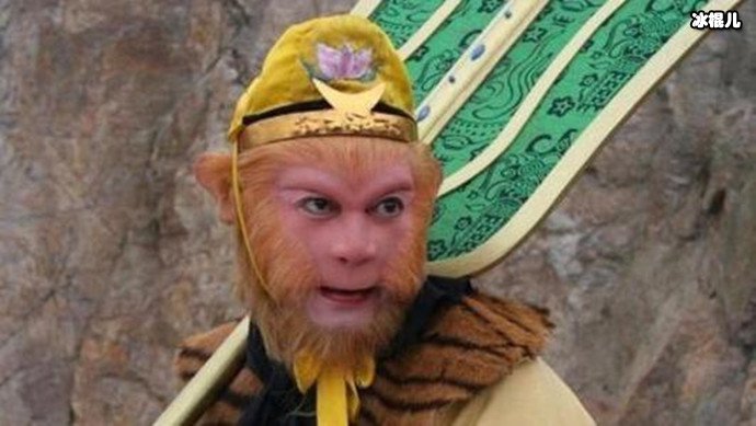 两开花什么意思