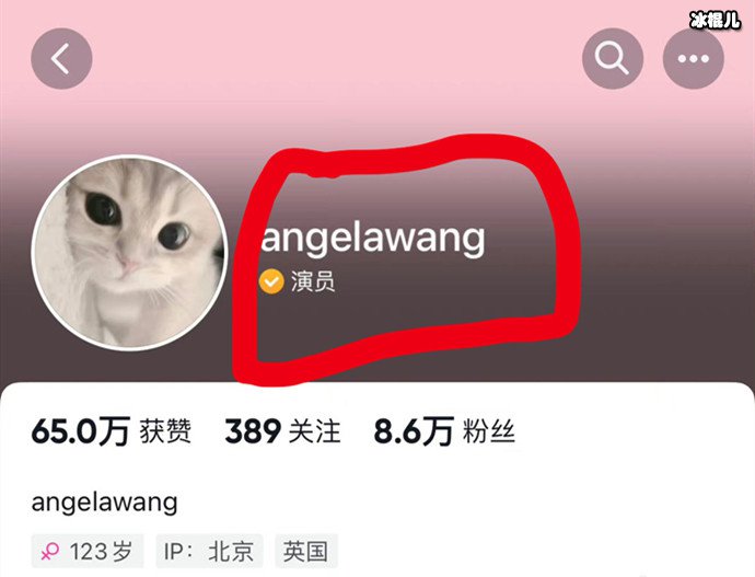 王诗龄认证演员身份