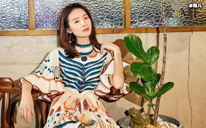 董洁刘涛不和原因