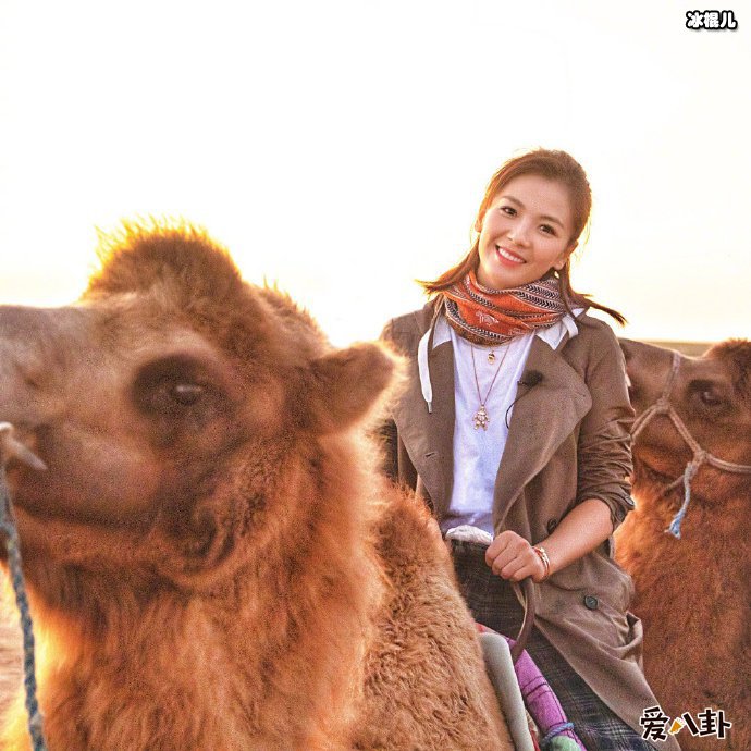 刘涛沙漠骑骆驼照片