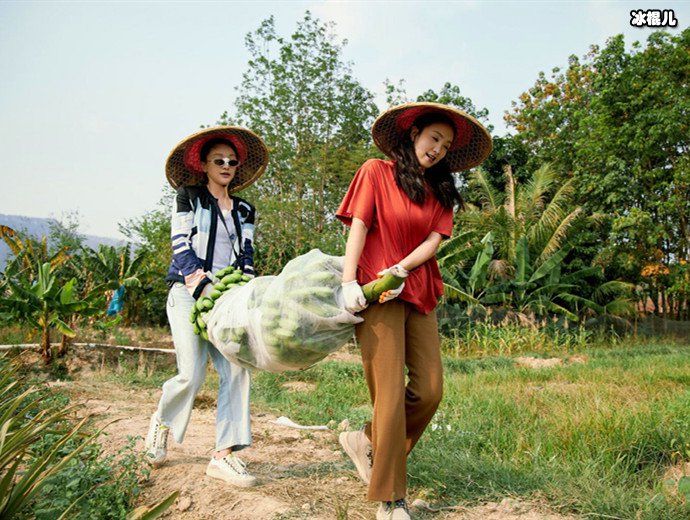 向往的生活周迅陶虹剧照