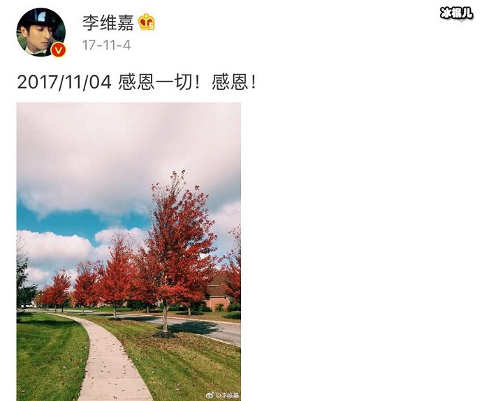 李维嘉生日微博截图