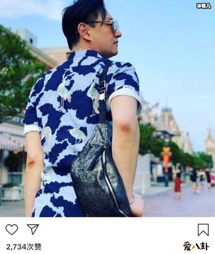 张柏芝晒男子背影照惹猜测