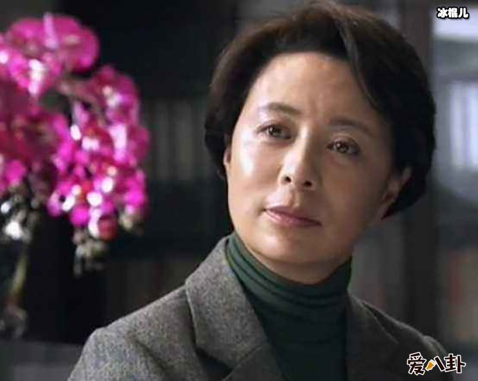 巍子老婆是刘佳的原因