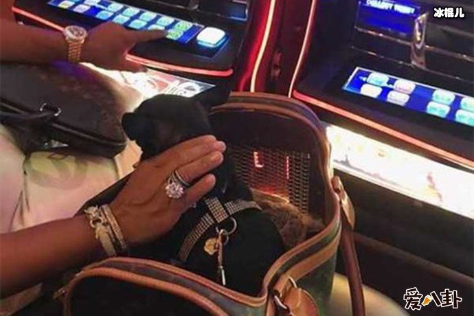 冒牌王子的奢侈品