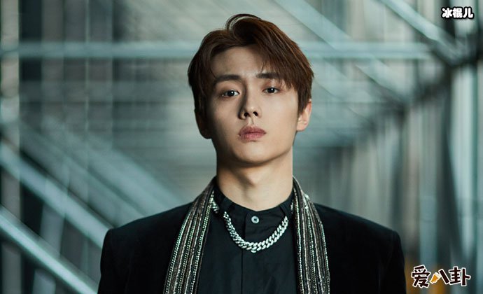 翟子路年龄多大