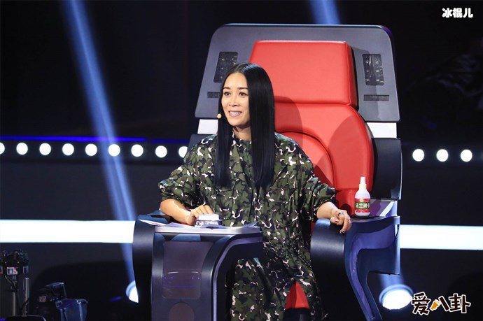 中国好声音那英