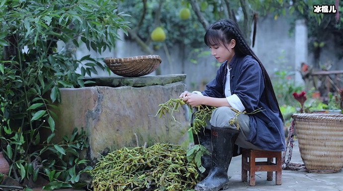 李子柒说我最不缺的是勇气