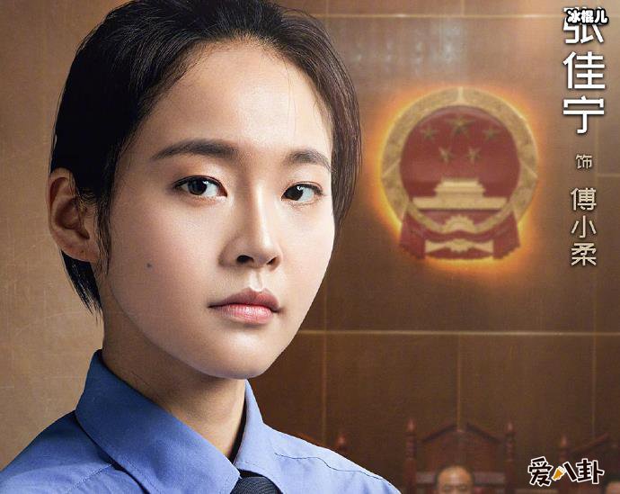 决胜法庭傅小柔扮演者