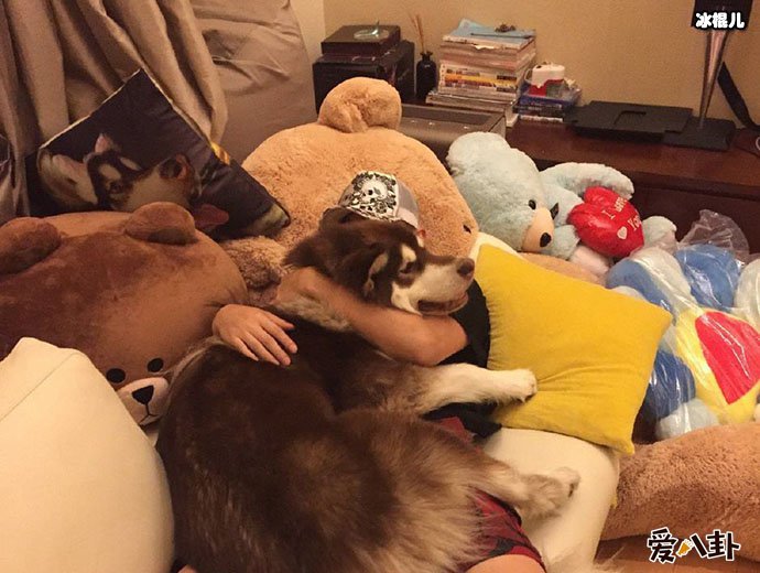 王思聪日狗是怎么回事