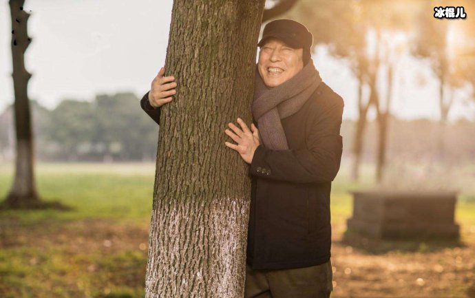 《都挺好》收官