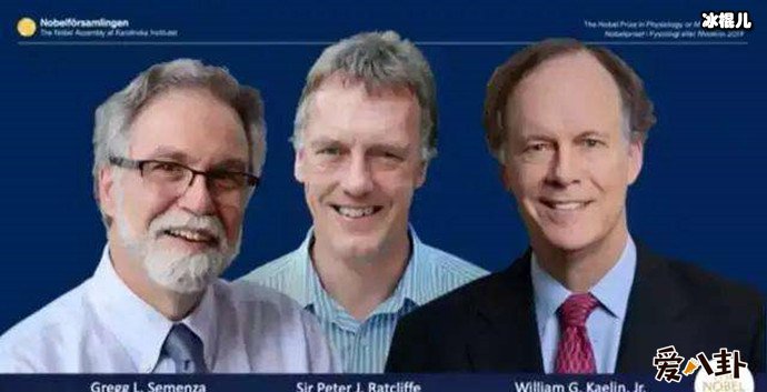 2019诺贝尔生理学奖颁奖现场