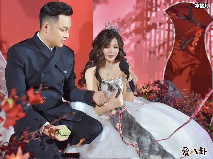 韩安冉与小猪结婚照