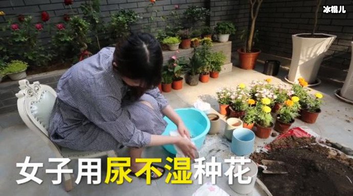女孩买20箱尿不湿种花
