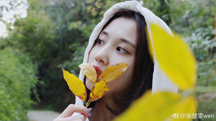 张慧雯谈成名之路