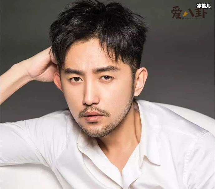 毛毅董维嘉什么关系