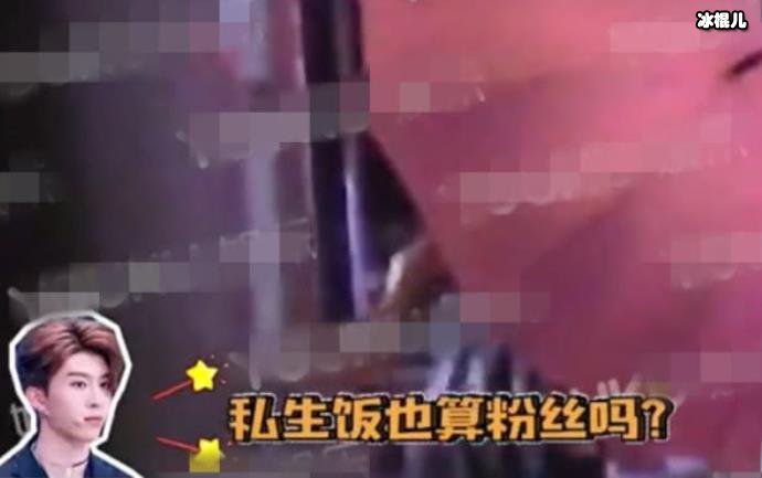 私生饭是什么意思