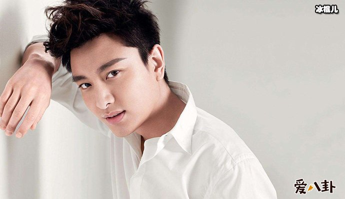 贾乃亮帮清购物车引网友热议